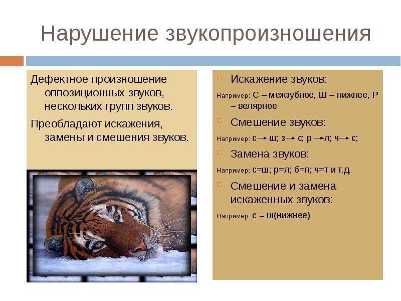 Дефекты и нарушения речи человека: виды, причины и способы исправления