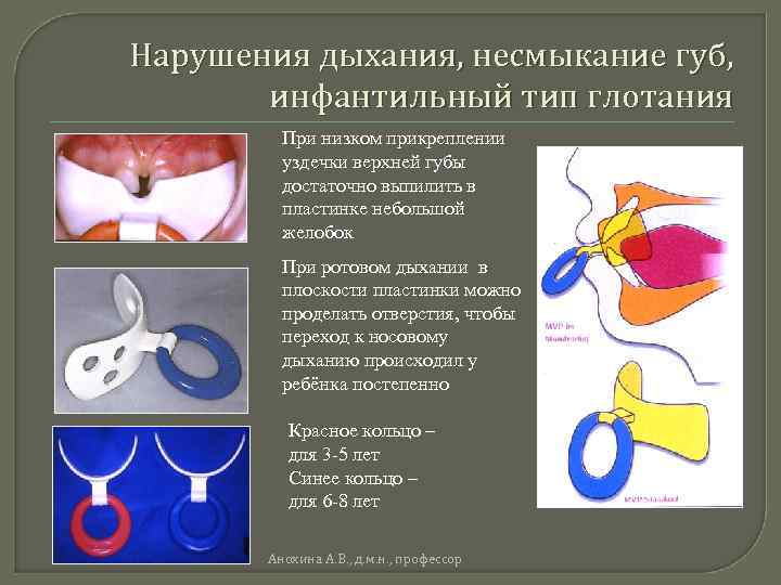 Роль глотания и жевания на этапе формирования речи у детей раннего возраста.