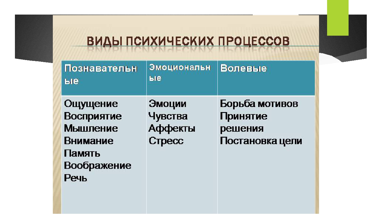 Характеристика восприятия и его особенностей
