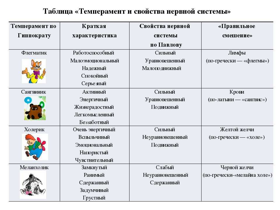 Флегматик — кто это такой, краткая характеристика