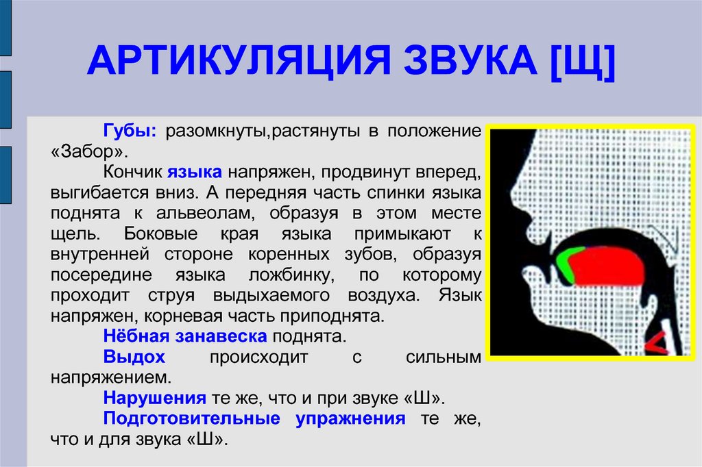 Постановка звука щ | logopedlike.ru