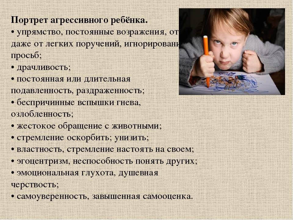 Агрессивность - эйгердовская средняя школа ивьевского района