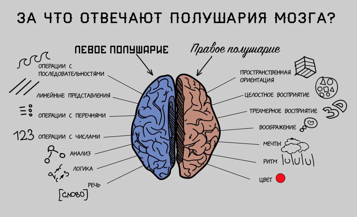 Развитие мелкой моторики детей с овз - радуга-талантов.рф