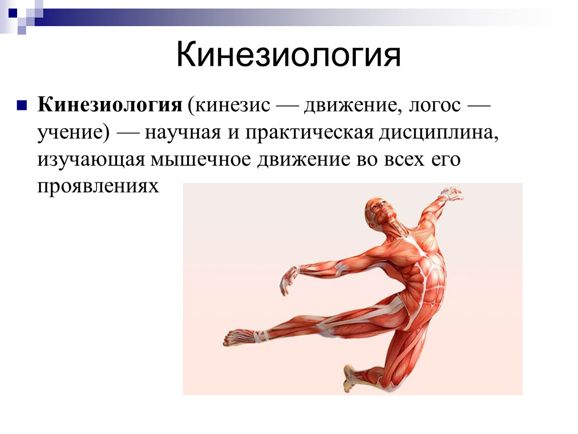 Кинезиологические упражнения как вид
здоровьесберегающих технологий | дошкольное образование  | современный урок