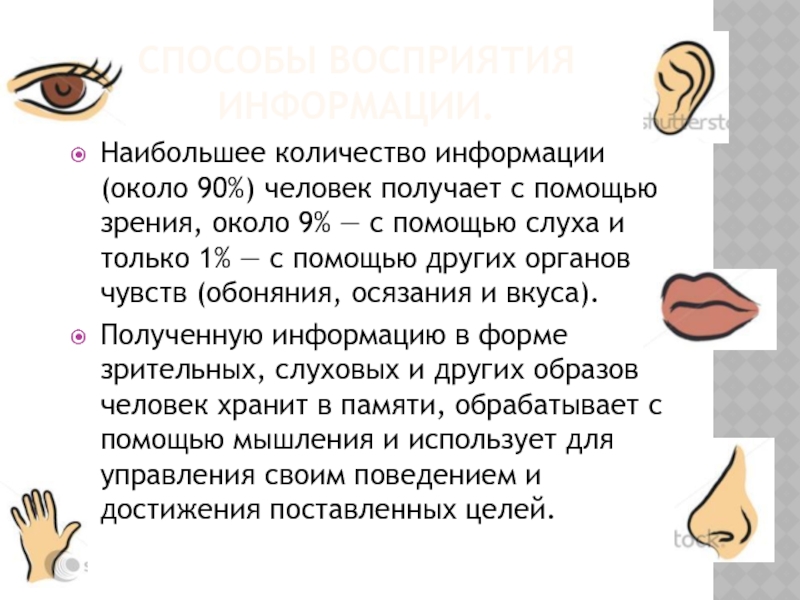 Физминутка для детей