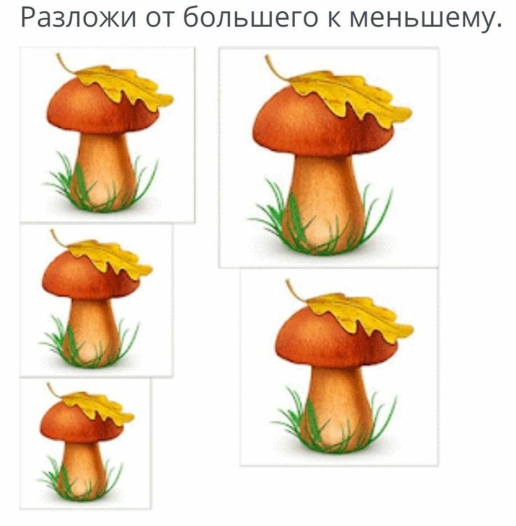 Подвижные игры как средство развития речи дошкольников с тяжелыми нарушениями речи