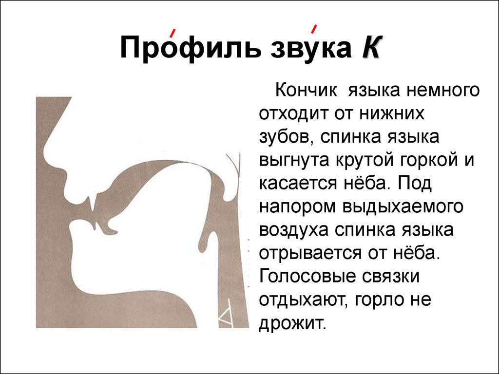 Профиль артикуляции звука презентация, доклад
