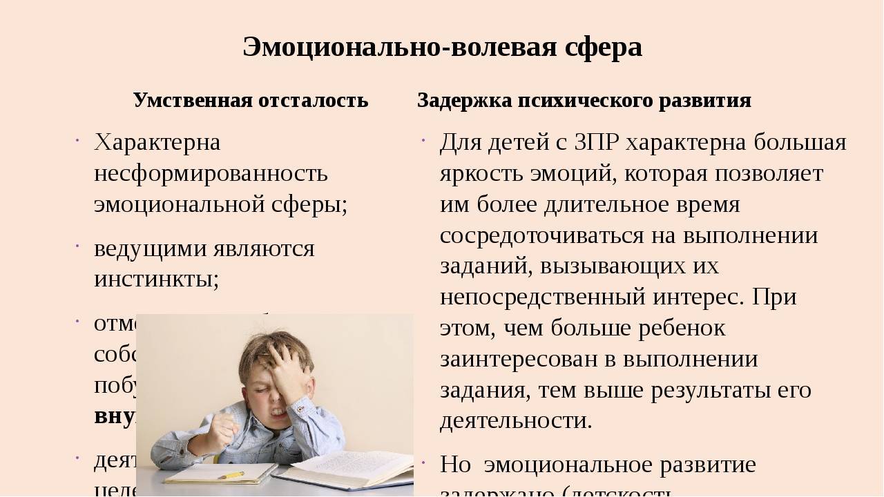 Психолого-педагогические особенности детей дошкольного возраста с задержкой психического развития
