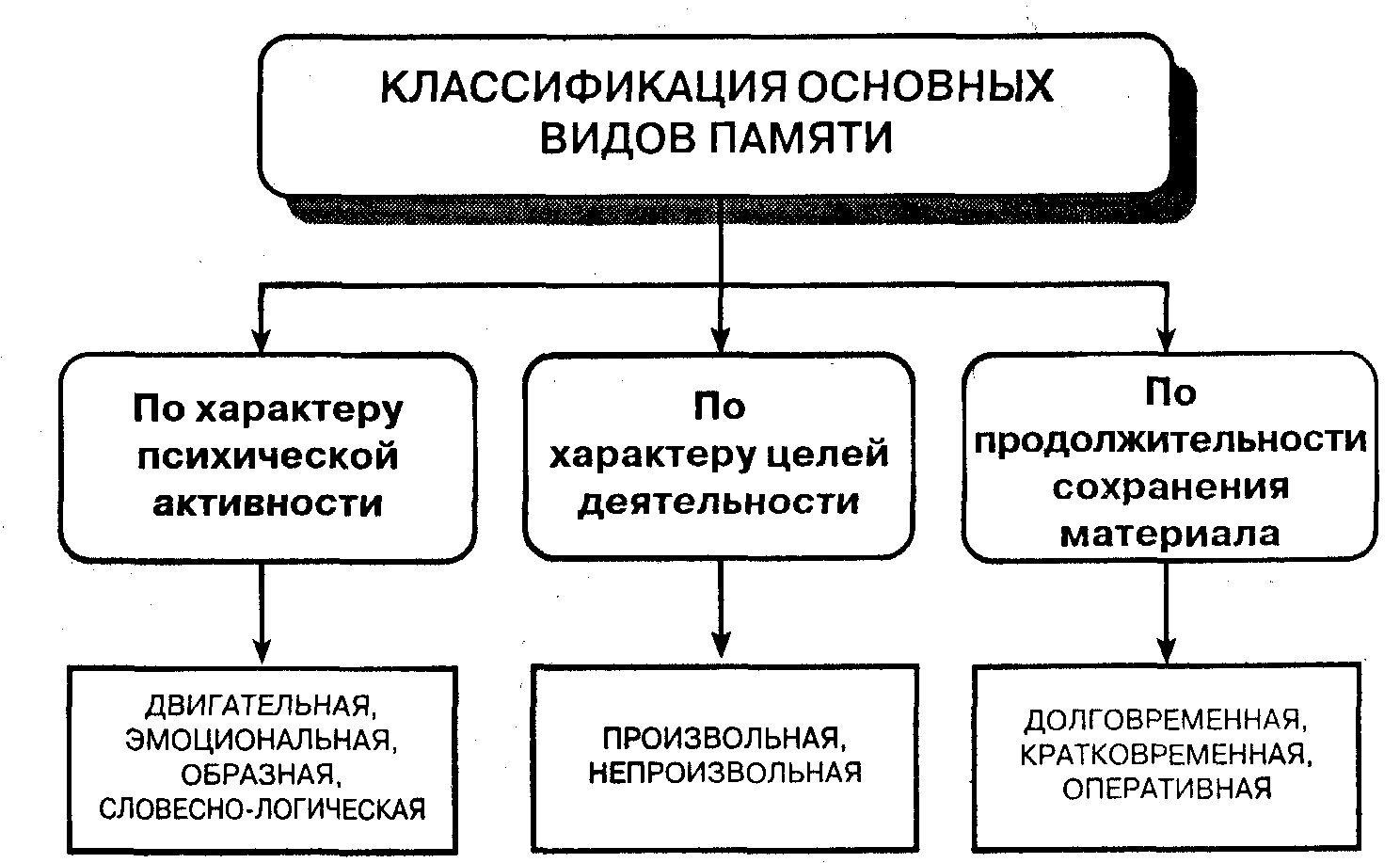Общая психологическая характеристика процессов памяти.