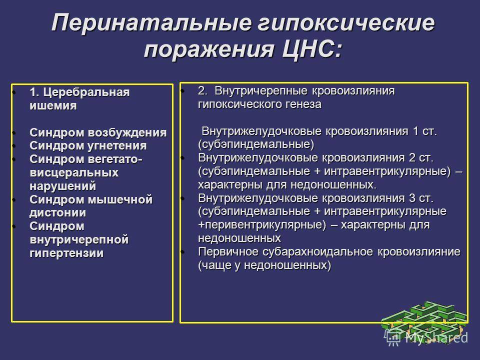 Психолого-педагогические особенности детей раннего возраста с органическим поражением цнс. реферат. педагогика. 2013-02-10