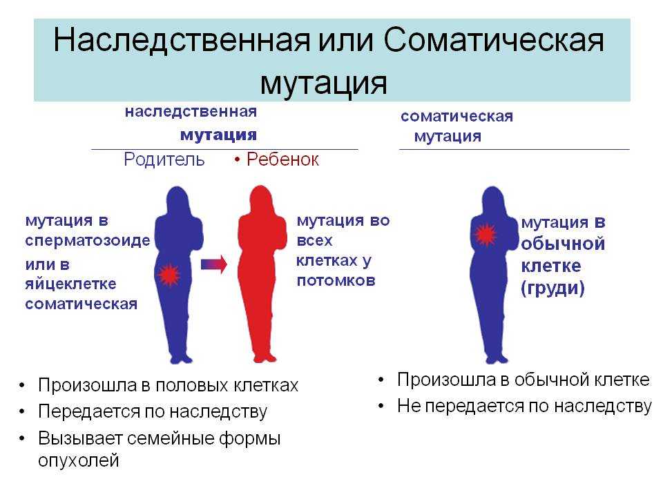 Все о синдроме дауна у детей