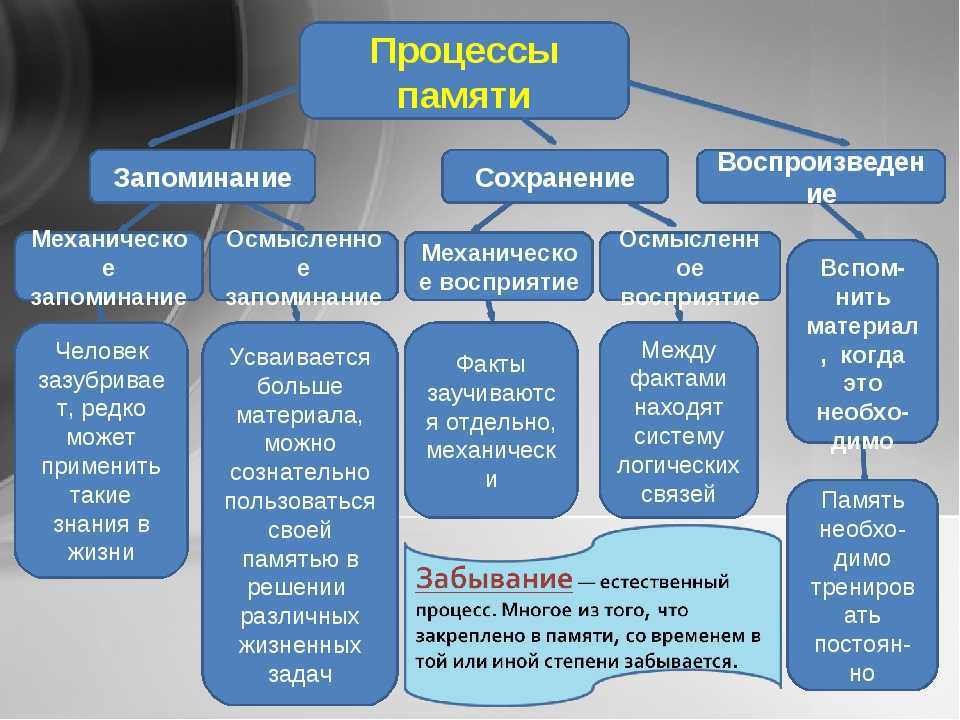 Как развить память и внимание детей: специальные приемы