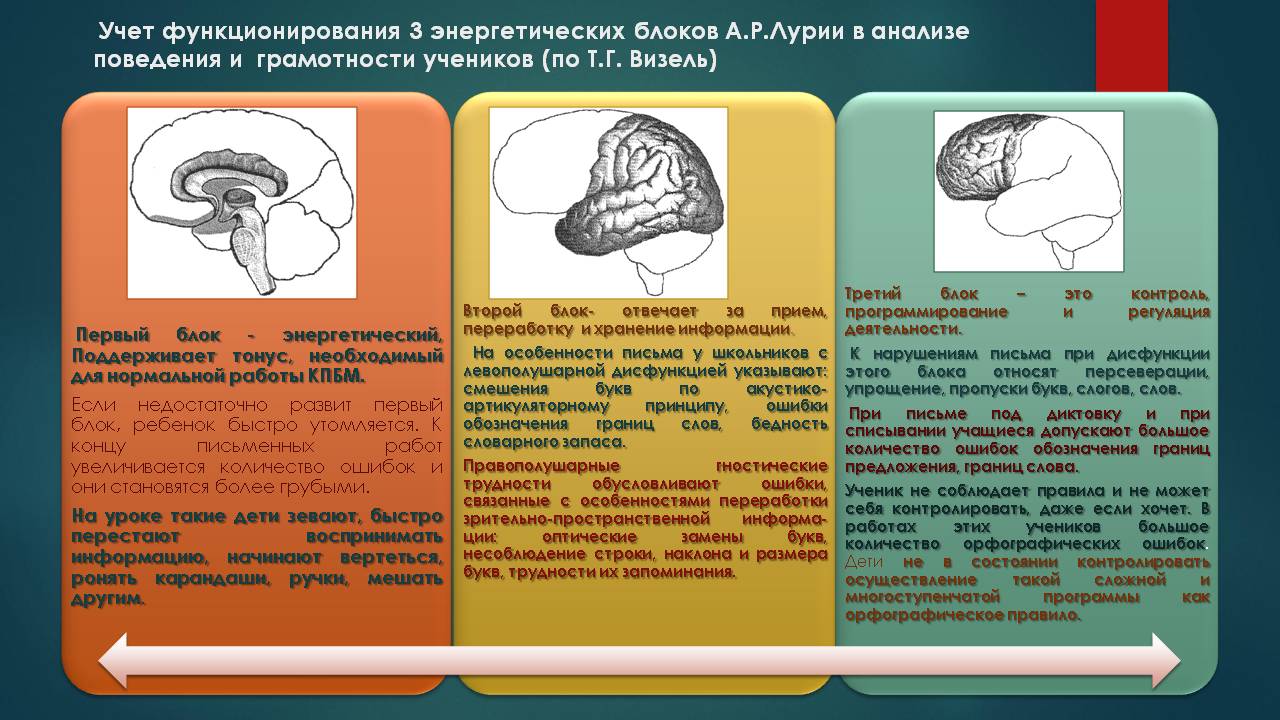 Презентация на тему: "функциональные блоки мозга (а.р.лурия). первый блок (энергетический) анатомическая основа: ретикулярная формация ствола мозга ( клеточная функциональная.". скачать бесплатно и без регистрации.
