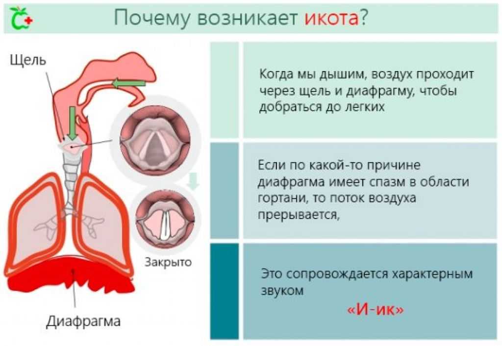 Почему дети икают? как остановить икоту у детей?