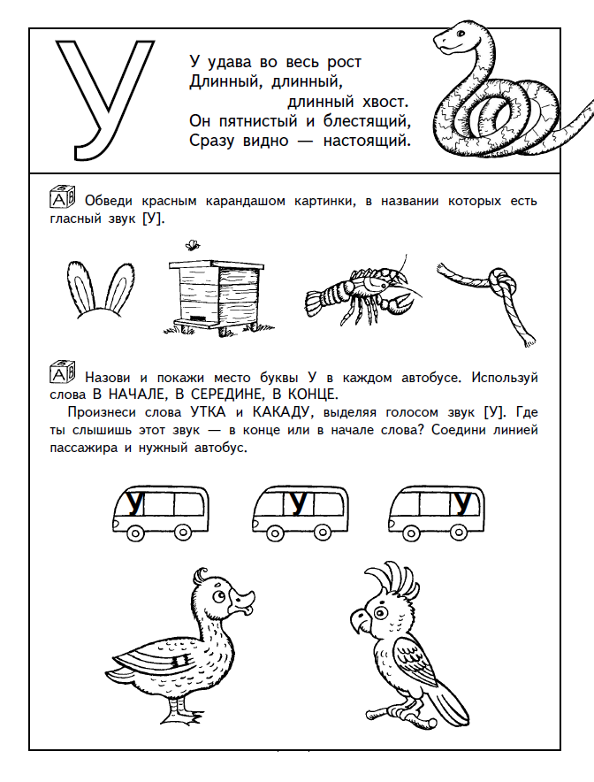 Виды дислалии у детей