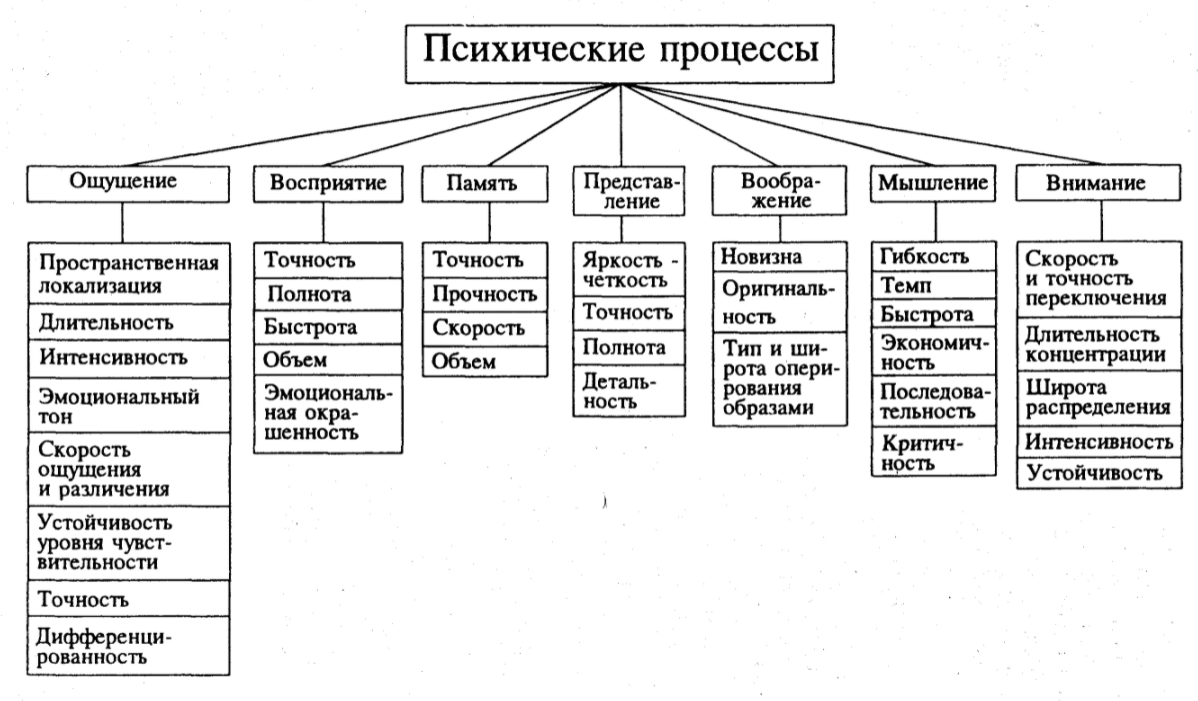 Виды  восприятия: свойства, характеристики, примеры