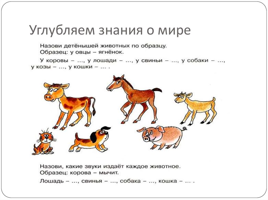 Игры на обогащение словарного запаса у дошкольников | опыт работы логопеда доу