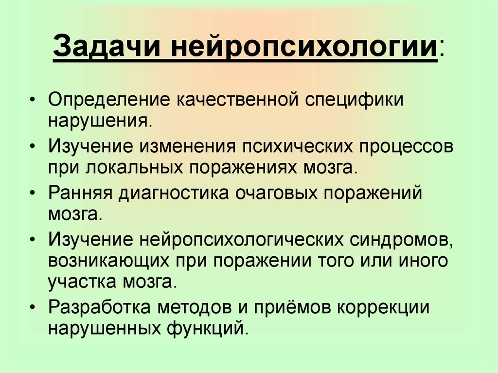Что такое нейропсихология. когда применяется нейропсихологический подход