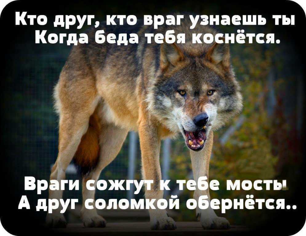 Как научить ребенка дружить со сверстниками
