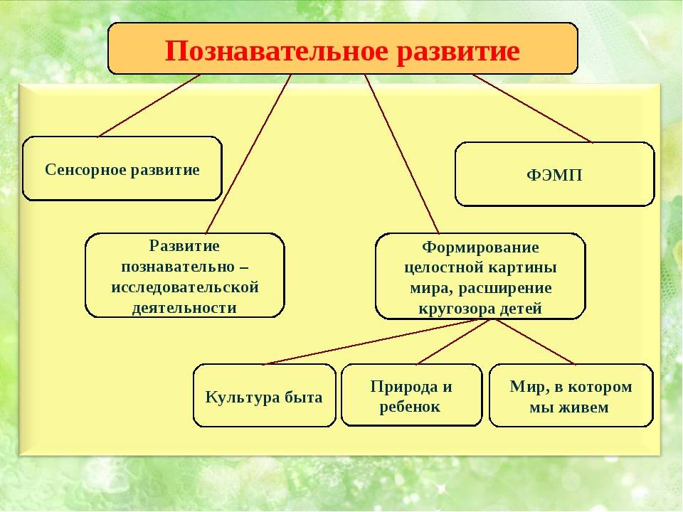 Именно в это время наступает познавательное развитие ребенка которое вытекает в попытку наладить контакт с миром
