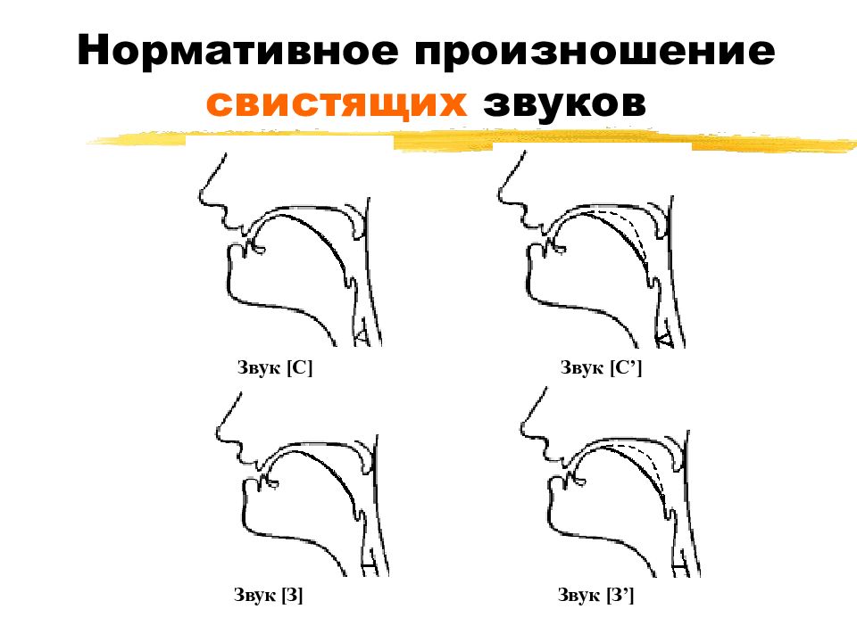 Профиль артикуляционный
