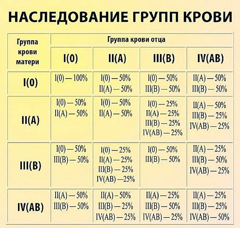 Как воспитать в ребенке ответственность и самостоятельность: развитие качеств у детей дошкольного и школьного возраста