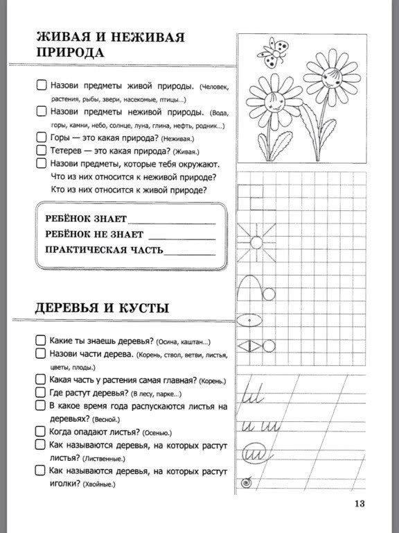 Диагностика адаптации первоклассников к школе: методики проведения