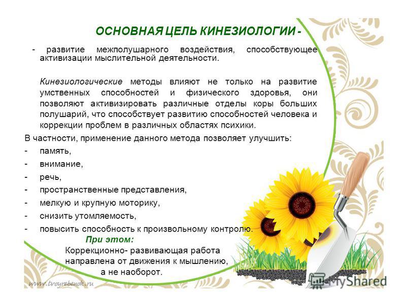 Нейробика 8 задорных упражнений для мозга для детей