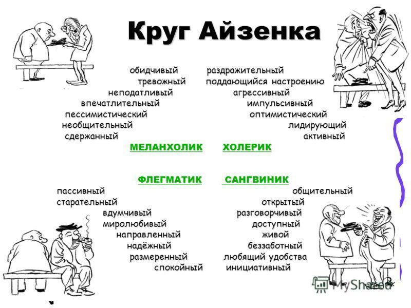 Темперамент личности флегматика: описание, плюсы и минусы, проявление в обществе