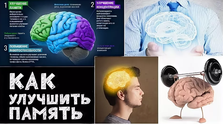 Стадии когнитивного развития личности в психологии детей и взрослых по пиаже