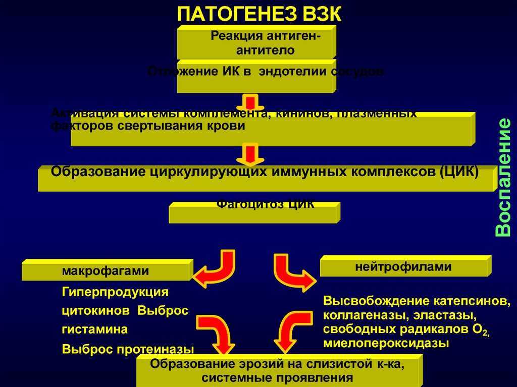 Воспаление. этиология и патогенез. часть 1