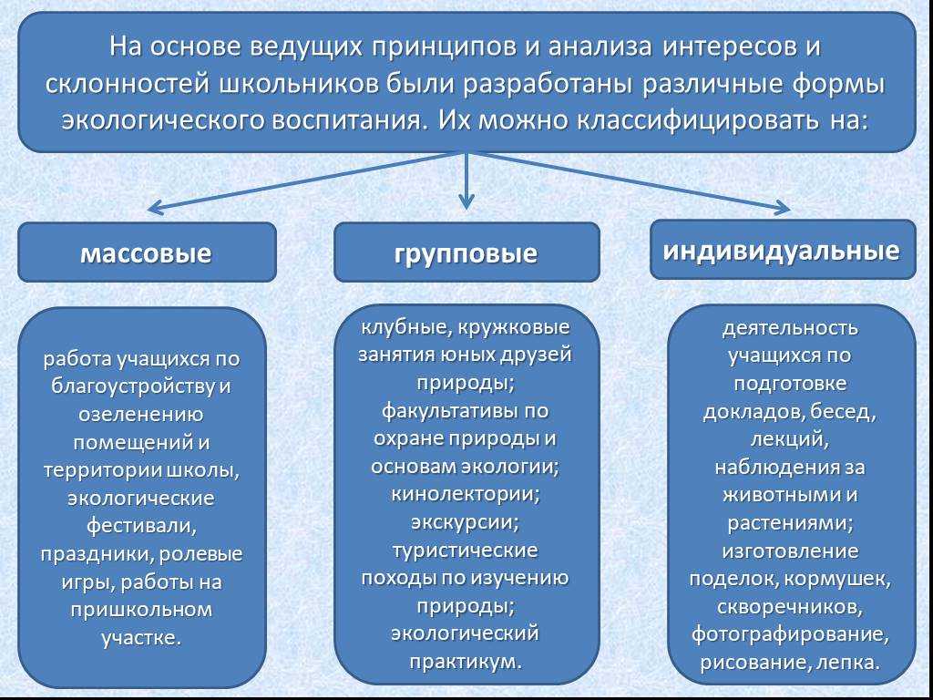 Экологическое воспитание дошкольников. формы и методы работы, примеры игр