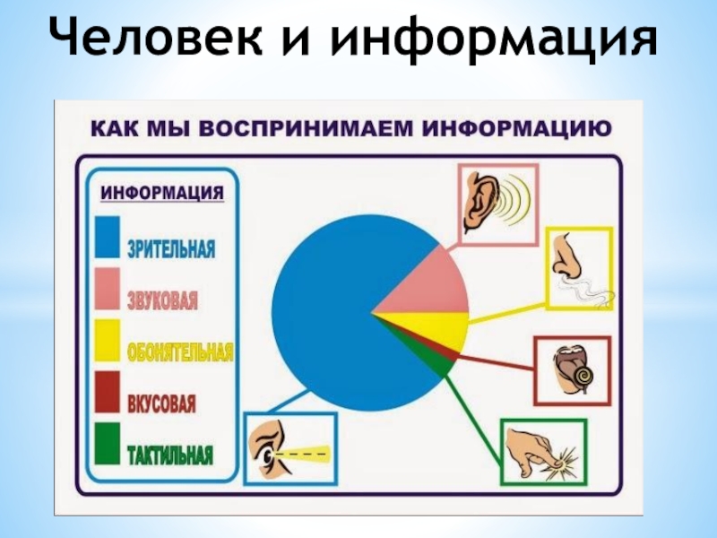 Умственное развитие ребенка: особенности и рекомендации - статьи о развитии детей