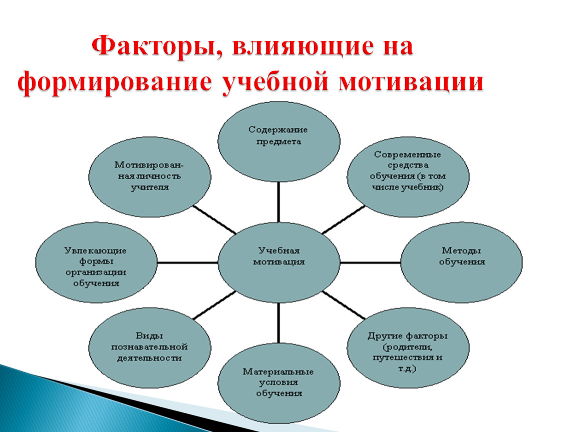 Структура работы по развитию речи в классах для детей с выраженной умственной отсталостью (из опыта работы учителей-дефектологов)