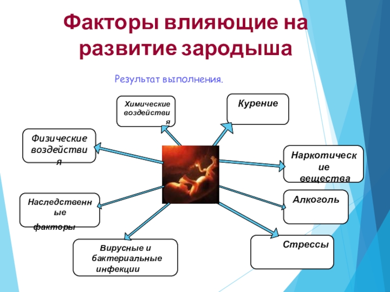 Вредное воздействие загрязнения воздуха на здоровье и развитие ребенка