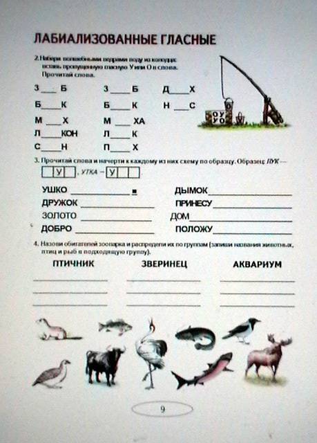 Что такое дисграфия и что нужно делать для её преодоления?