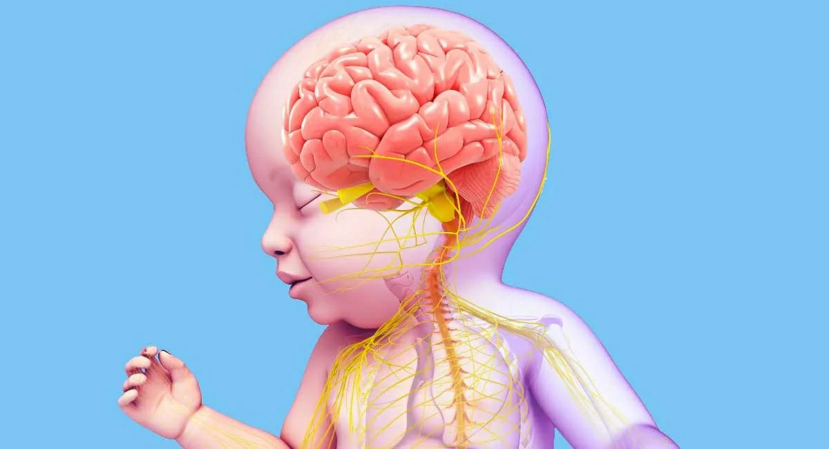 Почему возраст 2-7 лет так важен для развития мозга и как этим воспользоваться?
