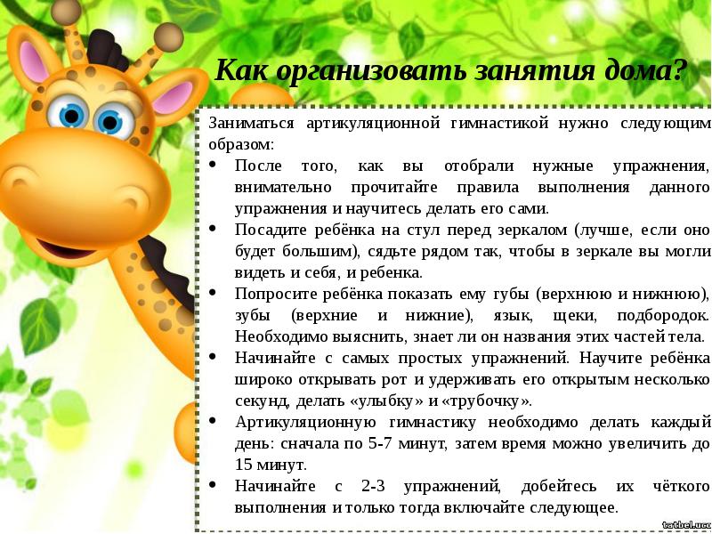 Особенности речевого аппарата детей, их влияние на освоение звуковой стороны речи