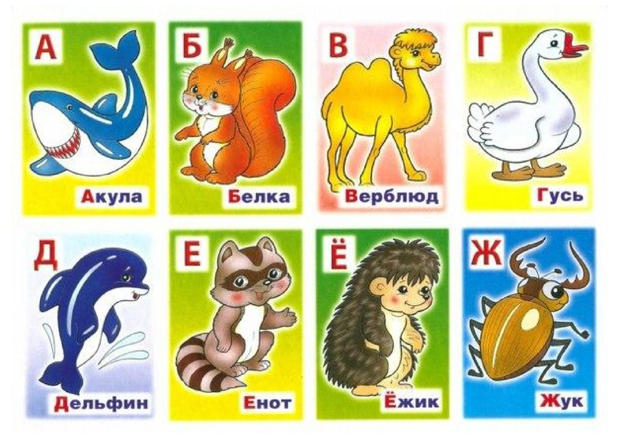 Азбука животных 1 класс