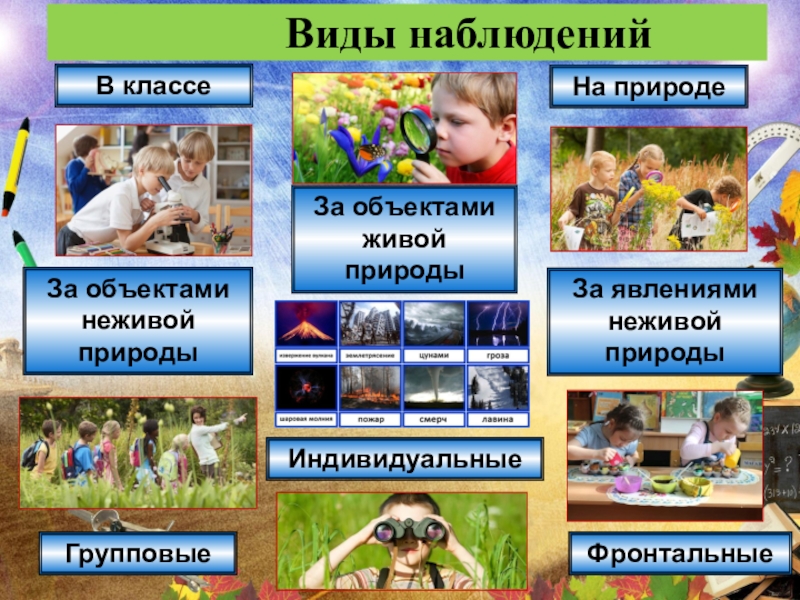 Наблюдения в младшей группе детского сада