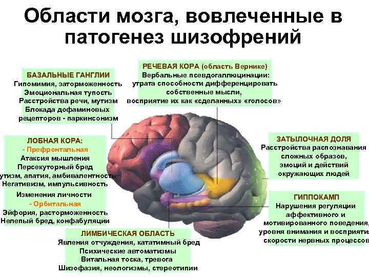 Взаимодействие ребенка с окружающим миром