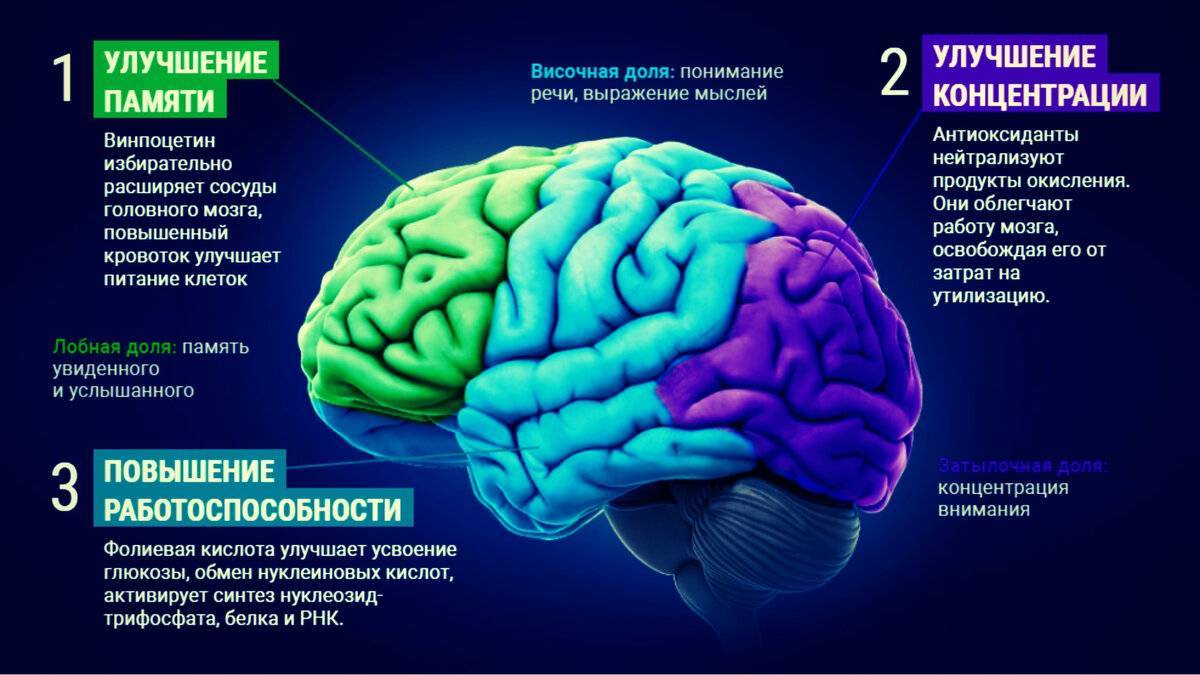 Книга супермозг: тренируем правое, развиваем левое полушарие! новые интеллектуальные задачи читать онлайн бесплатно, автор коллектив авторов – fictionbook