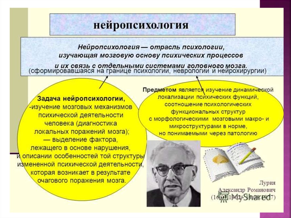 Предмет и задачи нейропсихологии