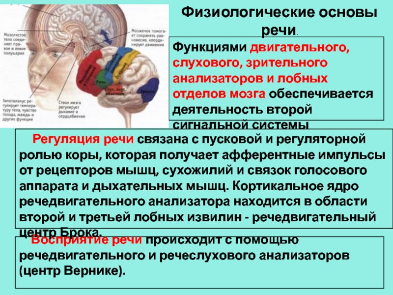 Использование нейропсихологических приемов в работе учителя-логопеда