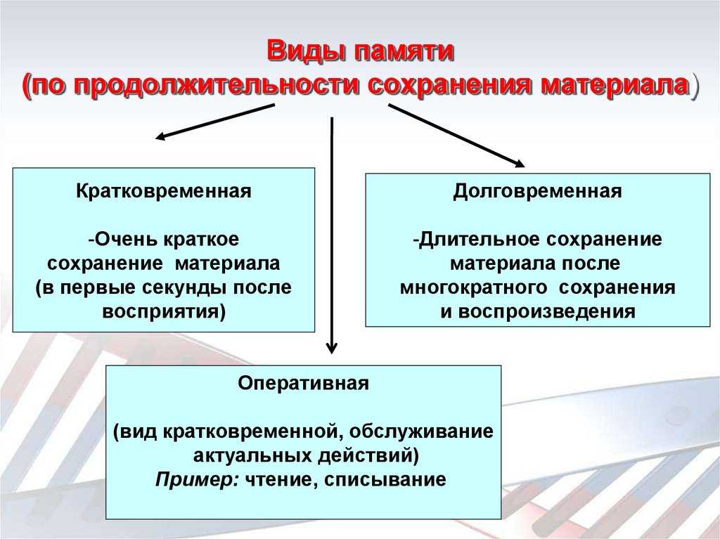 Развитие памяти у детей 5-7 и 7-9 лет: развивающие упражнения и советы