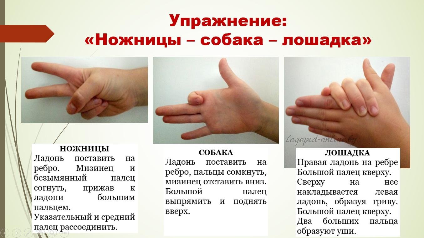 Презентация по логопедии: здоровьесберегающие технологии на логопедических занятиях с детьми с тнр  доклад, проект