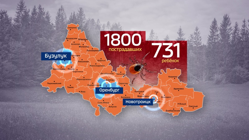 Все о правах ребенка в детском саду