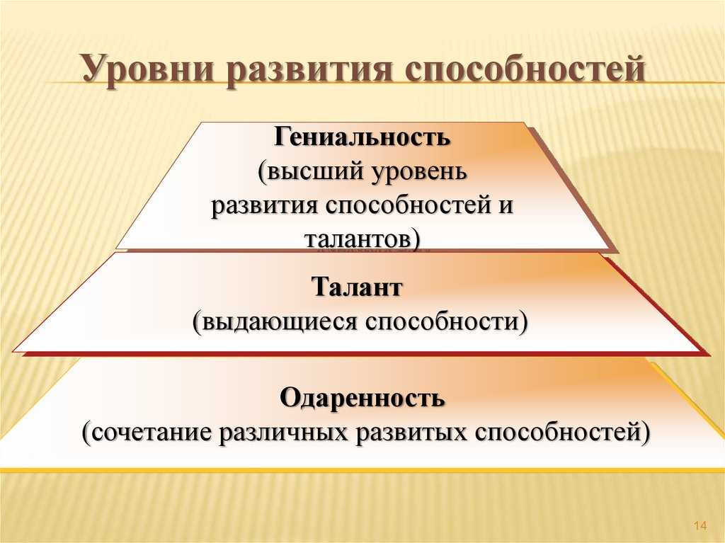 Как выявить одаренного ребенка — особенности работы и обучения одаренных детей, развитие одаренности | сила лиса