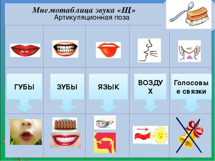 Нормы речевого развития детей. большая переменка