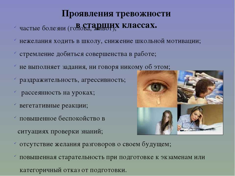 Темперамент ребёнка: как он влияет на процесс обучения